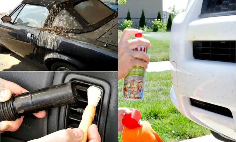 15 geniales consejos para limpiar el coche