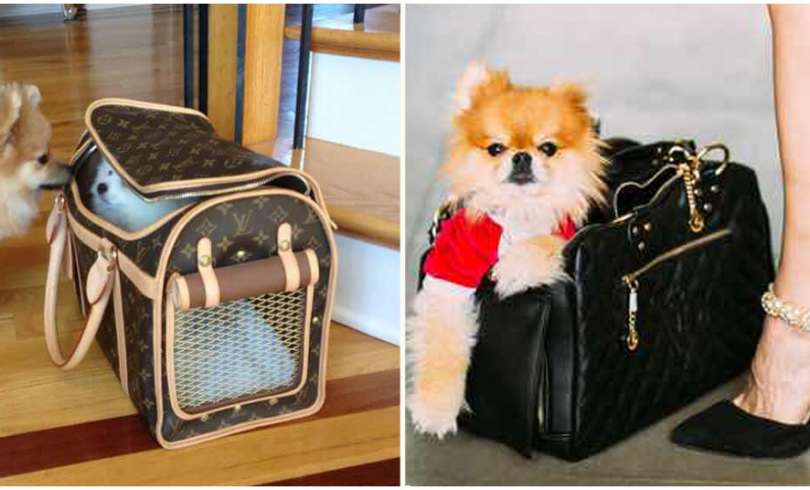 Los bolsos más chic para cargar tu perro