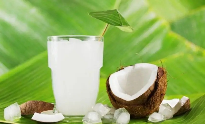 Beneficios del Agua de Coco para la Salud
