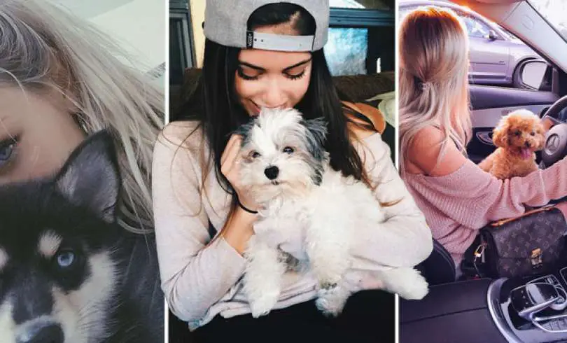 10 Formas Extrañas en las que Tu Perro te dice que Te Quiere