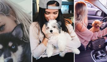 10 Formas Extrañas en las que Tu Perro te dice que Te Quiere