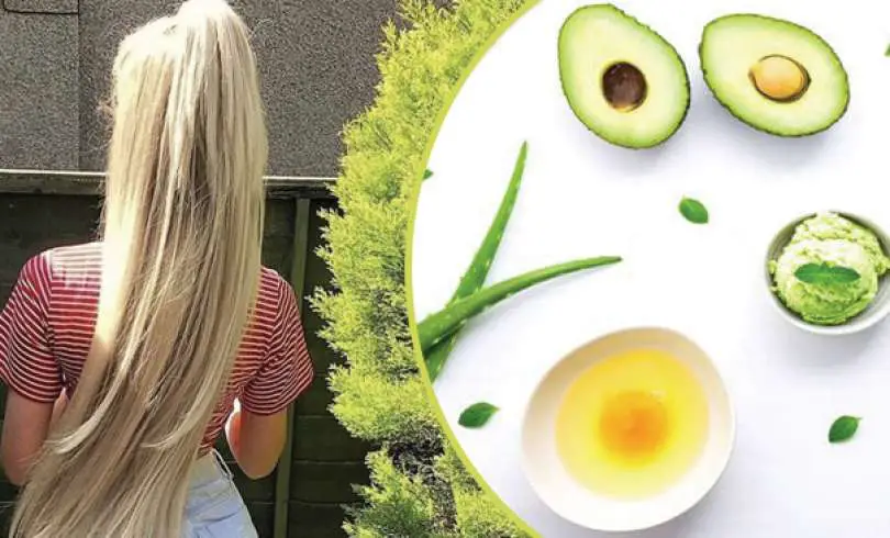3 Mascarillas para Reparar el Cabello Seco y Dañado en Casa