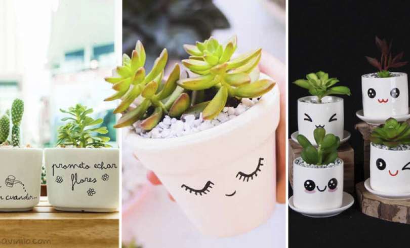 Mini Macetas: Ideas maravillosas que puedes hacer fácilmente