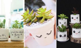 Mini Macetas: Ideas maravillosas que puedes hacer fácilmente